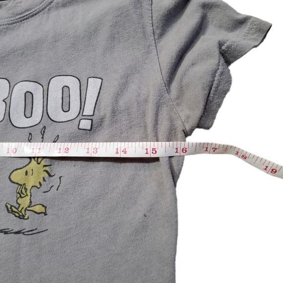 BOO! Snoopy and Woodstock Size Medium Grey Short Sleeve Halloween  Graphic Tee - Picture 9 of 10